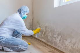 Why You Should Choose Our Mold Remediation Services in Gap, PA