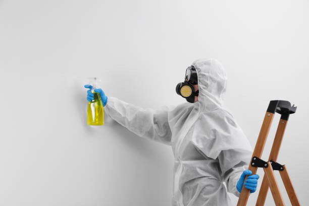 Best Mold Removal for HVAC Installations  in Gap, PA